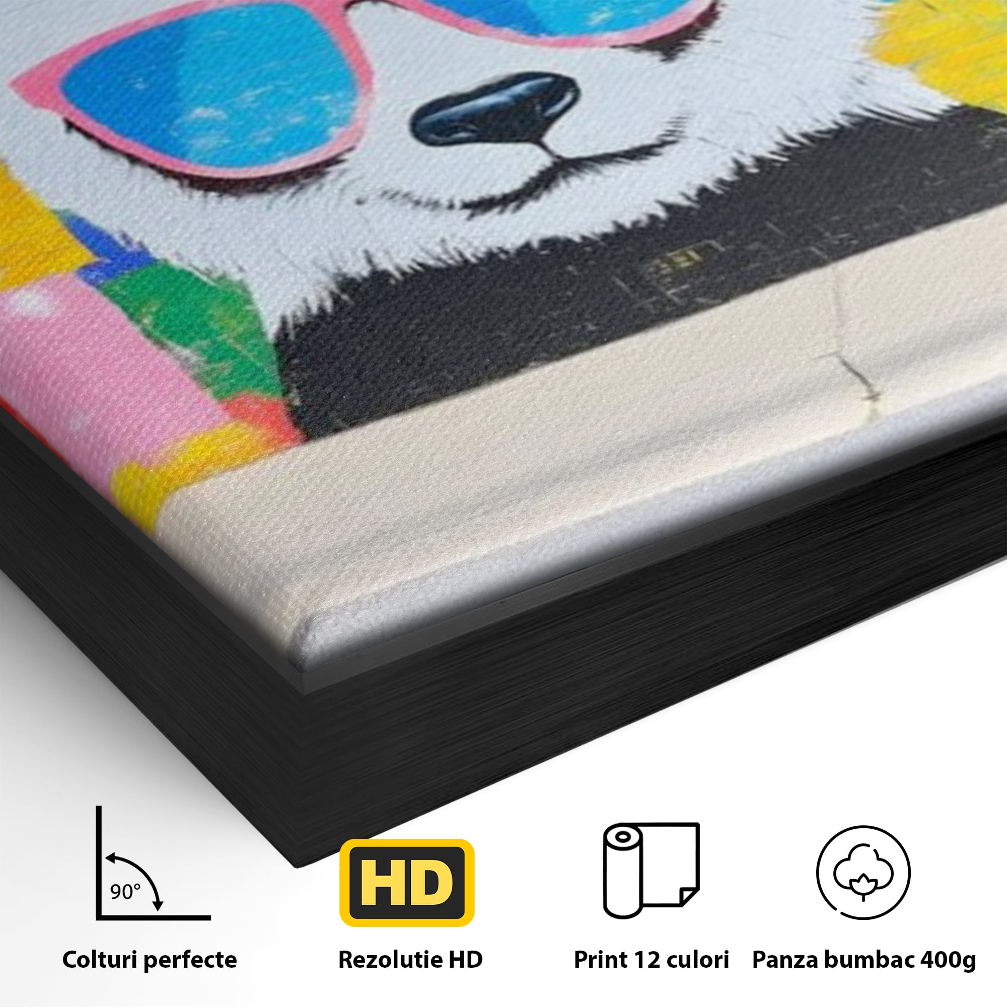 Detaliu al suprafetei: tablou canvas cu panda grafitat, in rama de aluminiu negru